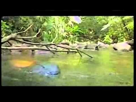 Sri Lanka Tourism 2