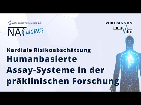 InnoVitro. Humanbasierte Assay-Systeme in der präklinischen Forschung