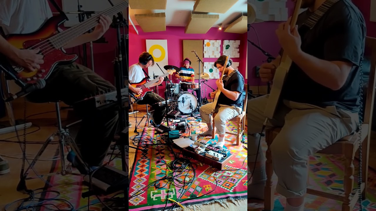 🎁 Free stems in our bio