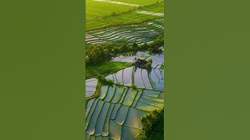 قران كريم بصوت جميل جدا حالات واتس مقطع قصير روعه يا زكريا إن نبشرك بغلام اسمه يحيي #قران_كريم #مقطع