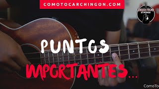 Bajo Loche Tutorial - Puntos Importantes (tonos)