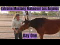 Day One w/a Wild Mustang | Los Angeles Extreme Mustang Makeover