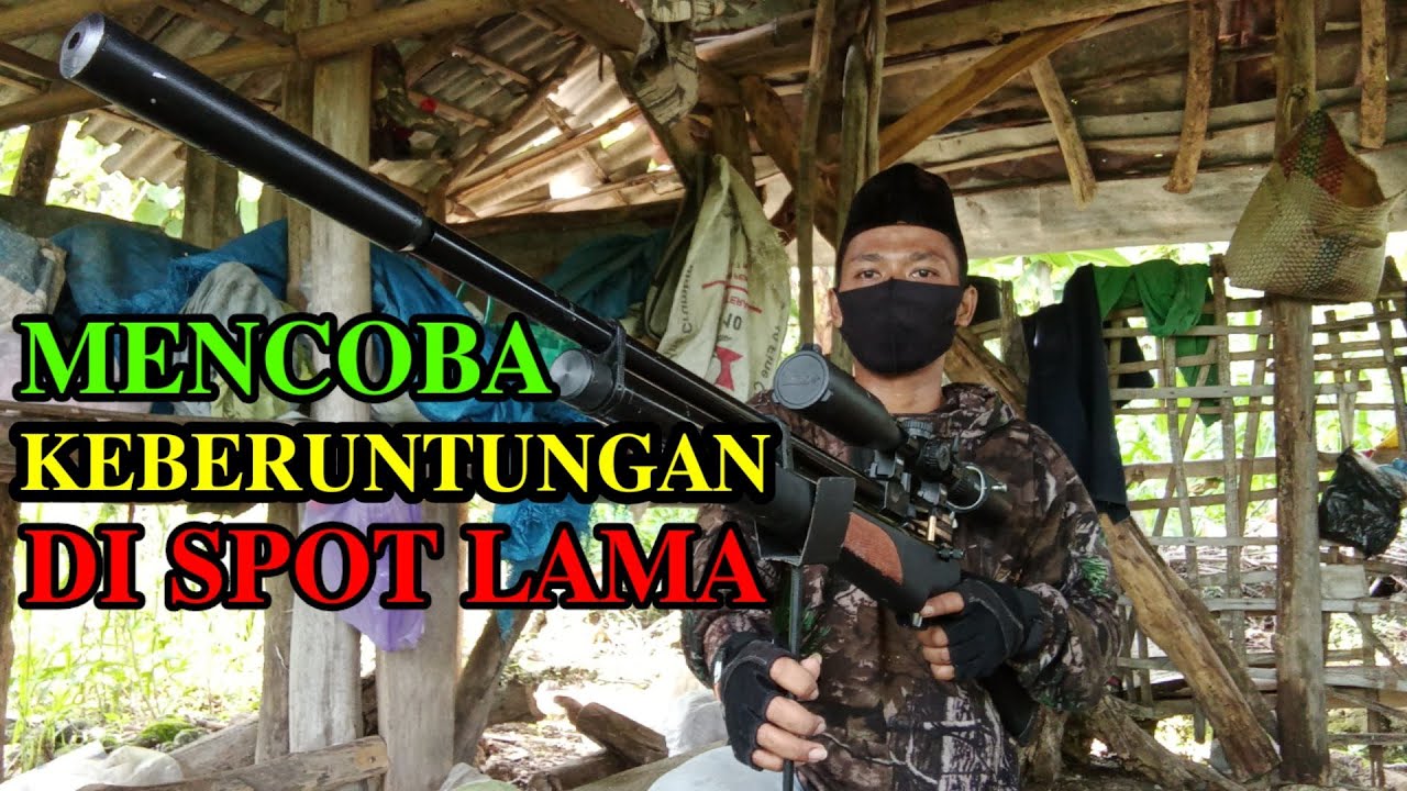 ONE SHOT TWO KILL ‼️ BERBURU TEKUKUR 