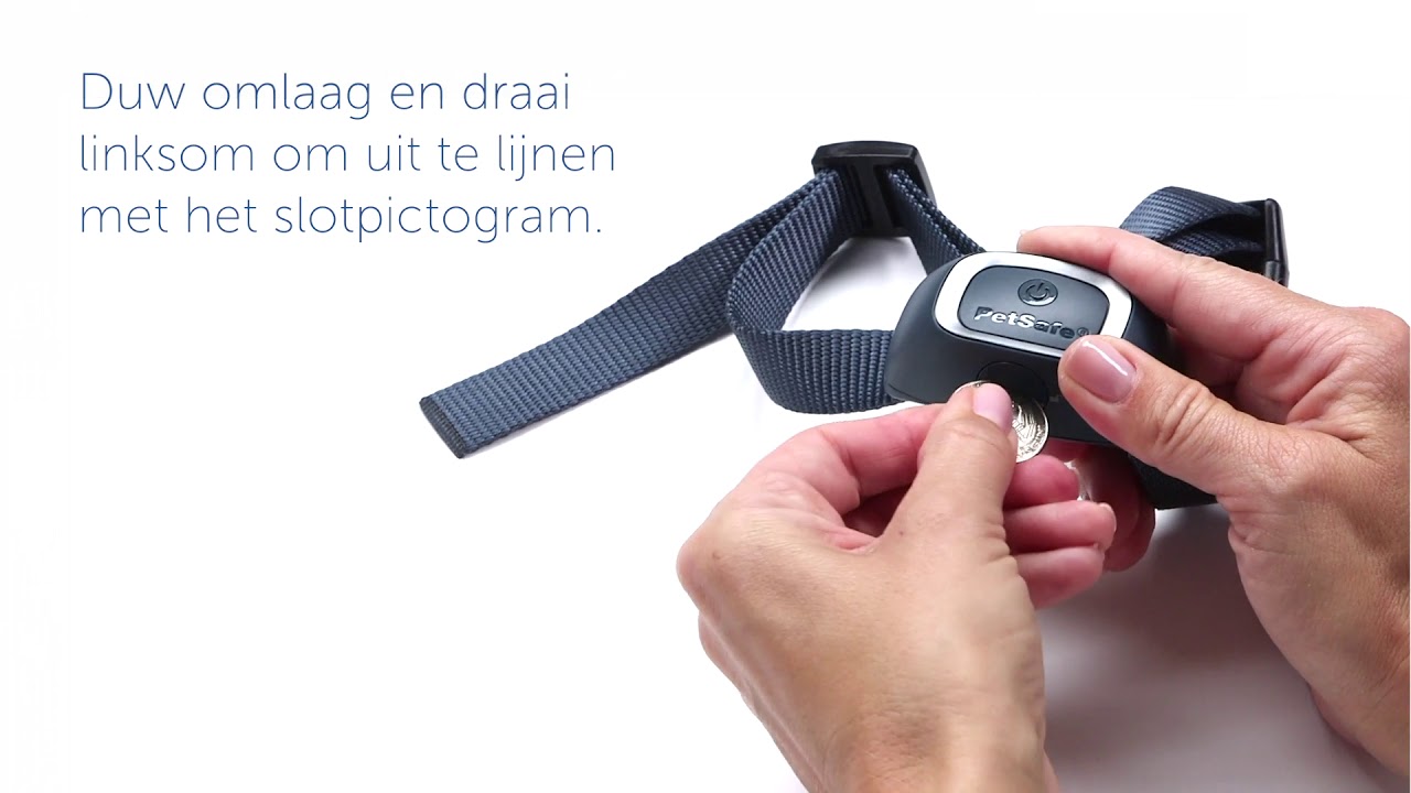 Op de kop van forum woede Een batterij plaatsen in de PetSafe® anti-blafband van je hond - NL -  YouTube