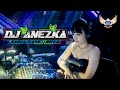 Dj anezka