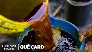 Por qué el aceite de palma rojo es tan caro | Qué caro | Insider Business