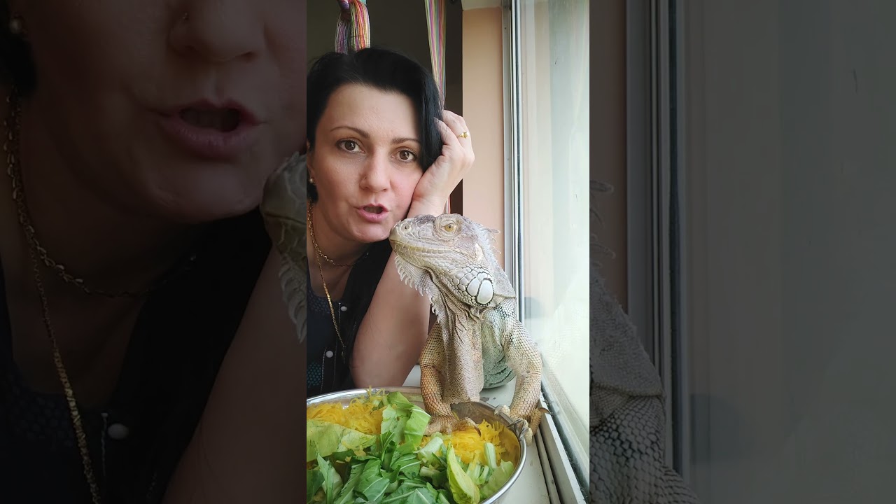 ЧТО В ИНДИИ ПОВЫШЕННАЯ ВЛАЖНОСТЬ ТВОРИТ