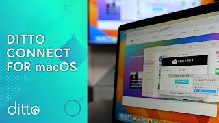 How to Screen Mirror Mac with Ditto Connect screenshot 4