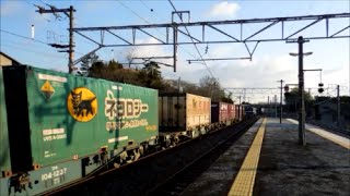 JR貨物 EF210-140号機[吹](代走)+コキ26B　貨物列車1050レ【最高速度ギリギリの大爆走!!!!】　2015.2.13