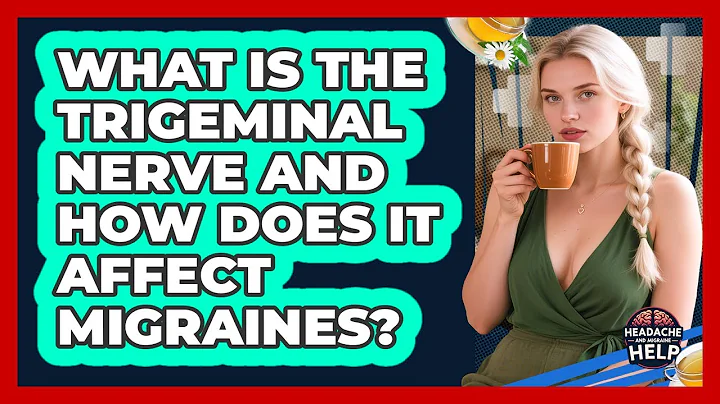 What Is The Trigeminal Nerve And How Does It Affect Migraines? - Headache and Migraine Help