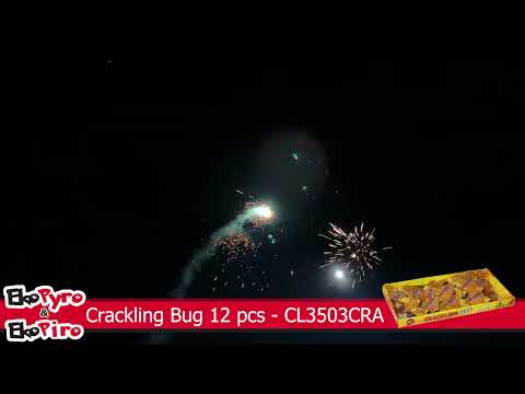 Video: Crackling Bug 12 kom