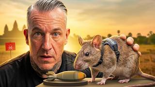 These Rats Do What In Cambodia?! 🐀 🇰🇭 💣