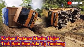 Tumbangnya Penuh Drama Musim Hujan Truk Batu Bara Ada Yang Korban