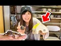 レオパ飼いに大人気のシェルターを作ってみた…！