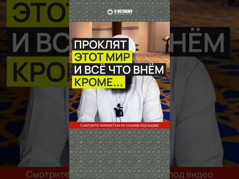 Проклят этот мир и всё что в нём, кроме...