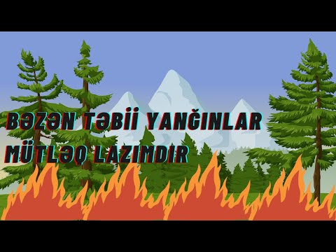 Video: Meşə Yanğınları Niyə Təhlükəlidir