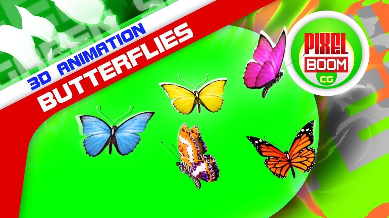 Download Green Screen Group Of Butterflies Flying Together Footage Pixelboom Cg By Pixelboom Cg