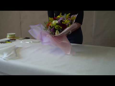 Tutorial Bobina Bopp