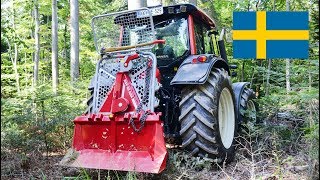 Tajfun Skogsvinschar (SWE)