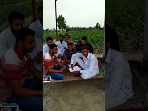 Modi ji funny song