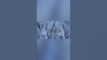 #fenekot#mockingbird #snow#lyrics🤍🤍💓 sing with ur voice