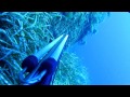 Pescando En Menorca 2013 (video completo)