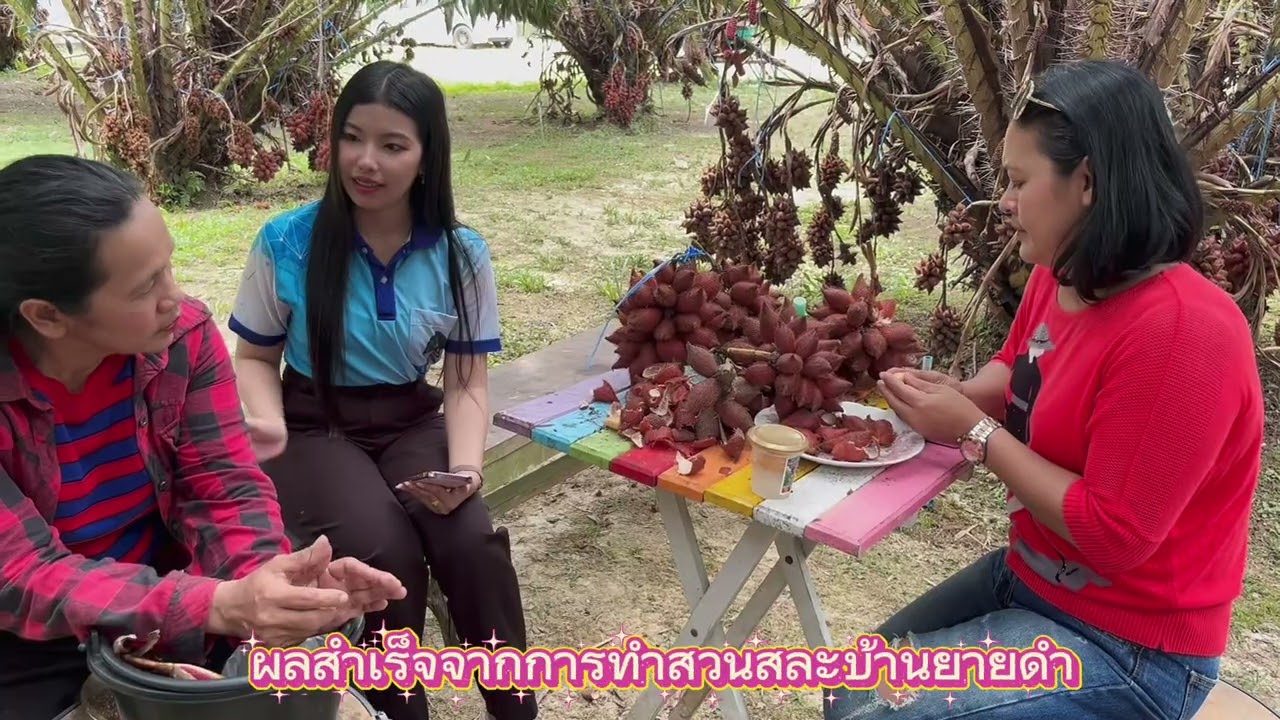 ลงพื้นที่ สวนสละบ้านยายดำพรหมคีรี