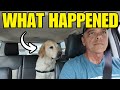 EMERGENCY DOG SCARE | TAMPA RV SHOW | FIRST MEET &amp; GREET