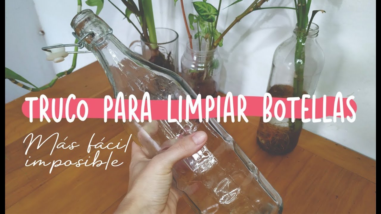 Trucos caseros: como limpiar el fondo de botellas de vidrio, trucos  caseros fáciles, lifehacks, México, MX, USA, Estados Unidos, Respuestas