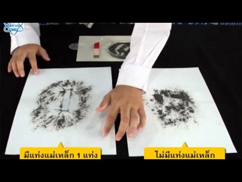 การเรียงตัวของผงเหล็กรอบแท่งแม่เหล็ก วิทยาศาสตร์ ม.4-6 (ฟิสิกส์)