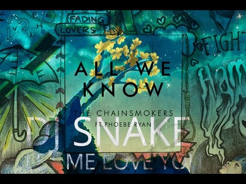 The Chainsmokers ft. DJ Snake - All We Know x Let Me Love You (Nguyen Le Mashup)