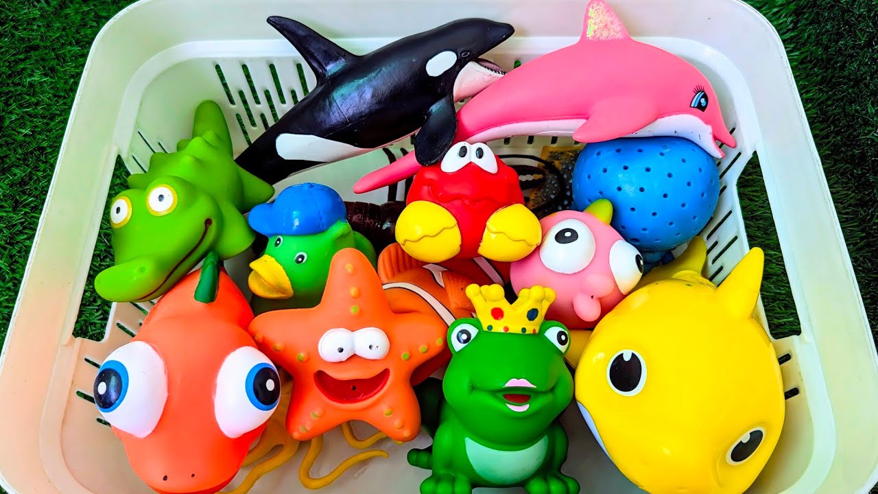 Морские обитатели для детей | Изучение лексики, связанной с морскими животными, на английском язы...