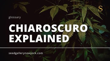 Chiaroscuro Explained: The Art of Light and Shadow | Seed Gallery #glossary #art #artist #education