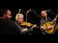 Old Blind Dogs - EDINBURGH TRADFEST 2020 - BUNKER HILL