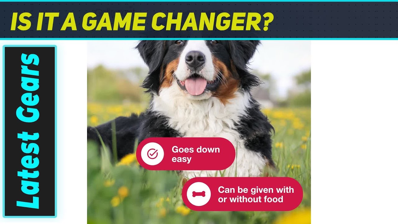 Галлипрант: мощное средство для облегчения боли при остеоартрозе у вашей собаки!