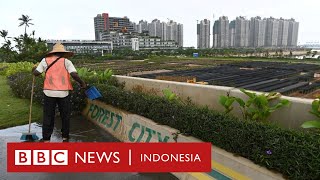 Forest City: Menengok 'Kota Hantu' buatan China di Malaysia  BBC News Indonesia