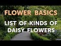 List of Kinds of Daisy Flowers