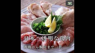 【鶏ガラ100％濃厚スープ】水炊き！熊本県日本一鶏肉研究所-Presented by-“食” community project 47 全国の銘品逸品