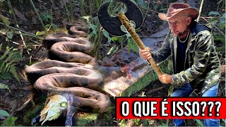 COBRA GIGANTE nas ruínas antigas com TESOURO MAÇONICO