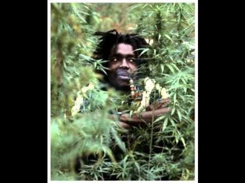Peter Tosh Coming in Hot - YouTube