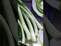 الفطار طازج