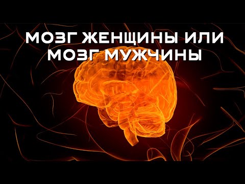 Чем отличается мозг женщины от мозга мужчины?