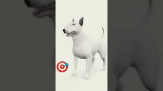 What a beautiful dog they chose for the Target store logo 🎯 What a beautiful dog they chose for the Target store logo 🎯