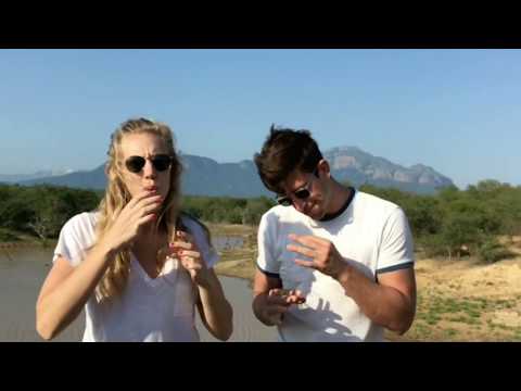 Marcos and Lindsay do Africa (music video)