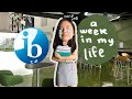 a chaotic week in my life as an IB senior