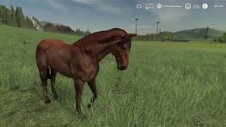 Farming Simulator 19 Сезоны: Лошади