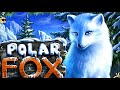 Как Выиграть в Игровом Автомате POLAR FOX . Казино Вулкан Игровые Автоматы Онлайн 2021 Стрим Заносы