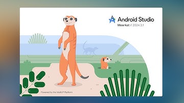 Android Studio - Meerkat | 2024.3.1 | What