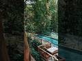 Stay at this private villa in Wayanad #shorts #kerala #staycation