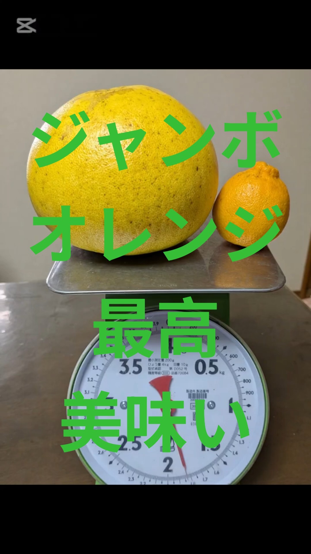 Jumbo Orange Best Chandra Pomelo #Short #JumboOrange - YouTube